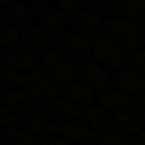 Meet your Posher, Donte